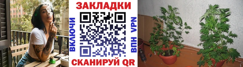 Магазин наркотиков Бологое ЭКСТАЗИ  Кокаин  Меф  МАРИХУАНА  ГАШ 