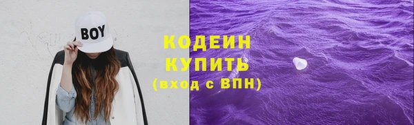 хмурый Богородск