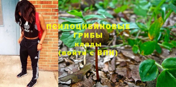 2c-b Богородицк