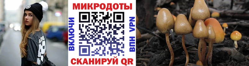 darknet клад Бологое Псилоцибиновые грибы Cubensis